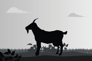 Vector silhouette animal in nature white background