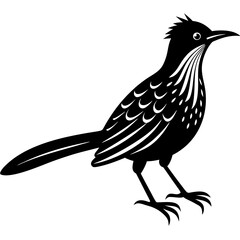 bird on a white background