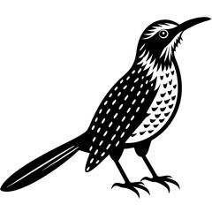 Solid silhouette cactus wren vector illustration