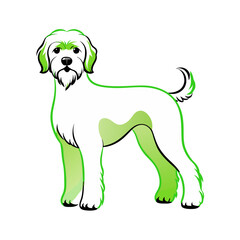 Obraz premium Barbet dog, line art, standing, green highlights, facing forward, transparent