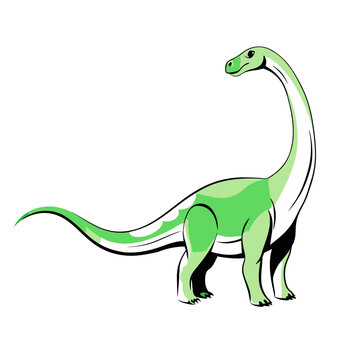 Barosaurus, prehistoric sauropod dinosaur, for use in designs related to science, biology, paleontology.