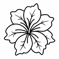 black and white flower isolated