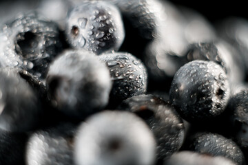 Blueberry on a black background