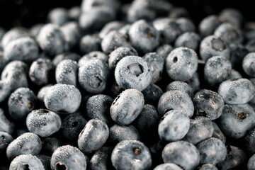 Blueberry on a black background