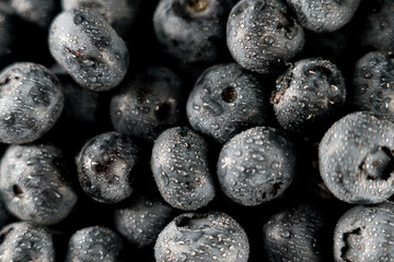 Blueberry on a black background