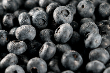 Blueberry on a black background