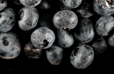 Blueberry on a black background