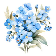 Fototapeta premium Blue ForgetMeNot flower in white background with green leaves floral illustration