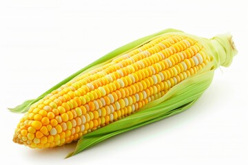 fresh corn