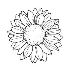 illustration of a sunflower outline