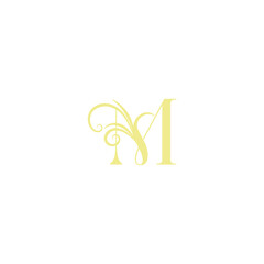 Letter M logo, Initials M logo design. Initial Letter Logo.
Creative Abstract Letter M Logo, luxury m logo
