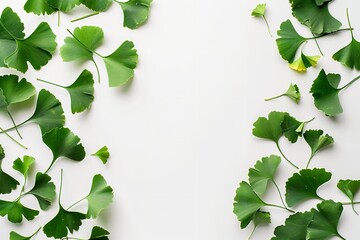 Naklejka premium Ginkgo biloba leaves alone against a white backdrop. Generative Ai