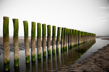 Breakwaters in wood on the beach