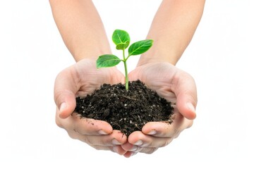Hand holding seedling on white background. Ecology concept with tree and green nature elements