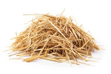 Straw Pile Isolated on White Background. Natural Agriculture with Autumn Copy Space