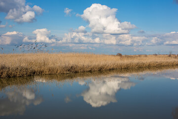 Fototapeta premium Serene Landscape of Doñana National Park in España