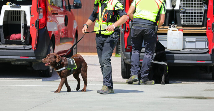 Two dog handlers Two dog handlers  with the K-9 unit during the drill with exceptional sense of smell dog