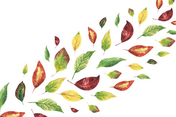Decorative background. orange, red, yellow, green leaves. Diagonal composition. Abstract. Hand drawn illustration. isolated on white. Wallpaper. For decoration, invitations, textile.