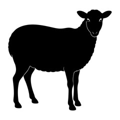 Sheep vector artwork silhouette illustration