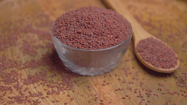 Halim Seeds