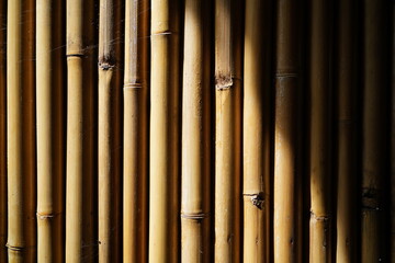 Fototapeta premium bamboo background
