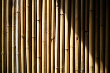 Fototapeta premium bamboo background