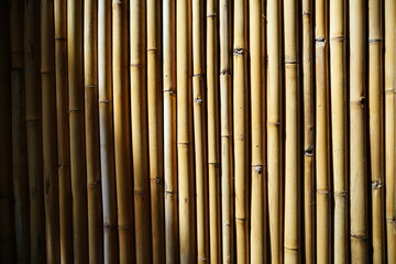 bamboo background texture