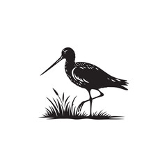 Godwit Vector Silhouette - Godwit Bird Illustration - Bird Vector Silhouette.