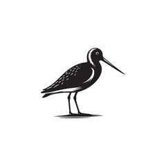 Godwit Vector Silhouette - Godwit Bird Illustration - Bird Vector Silhouette.