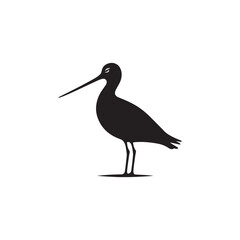 Godwit Vector Silhouette - Godwit Bird Illustration - Bird Vector Silhouette.
