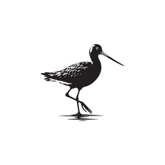 Godwit Vector Silhouette - Godwit Bird Illustration - Bird Vector Silhouette.