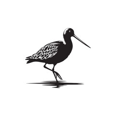 Godwit Vector Silhouette - Godwit Bird Illustration - Bird Vector Silhouette.