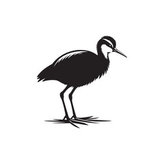 Jacana Bird Silhouette - Jacana Bird Illustration - Jacana Bird Vector.
