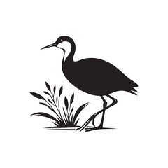 Jacana Bird Silhouette - Jacana Bird Illustration - Jacana Bird Vector.