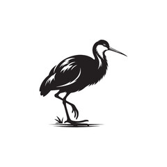 Jacana Bird Silhouette - Jacana Bird Illustration - Jacana Bird Vector.