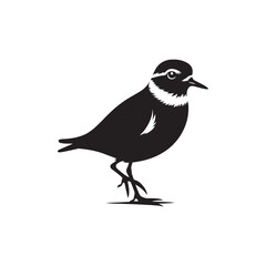Plover Vector Silhouette - Plover Illustration - Plover bird Vector.