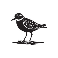 Plover Vector Silhouette - Plover Illustration - Plover bird Vector.