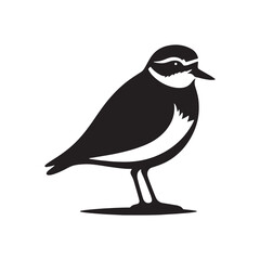 Plover Vector Silhouette - Plover Illustration - Plover bird Vector.