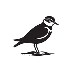 Plover Vector Silhouette - Plover Illustration - Plover bird Vector.