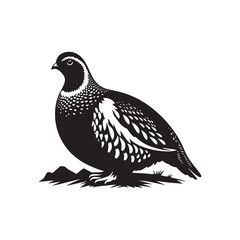 Willow Ptarmigan Silhouette - Willow Ptarmigan Illustration - Ptarmigan Vector.