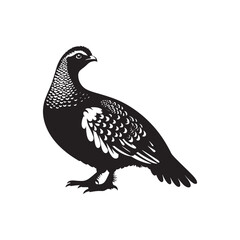 Willow Ptarmigan Silhouette - Willow Ptarmigan Illustration - Ptarmigan Vector.