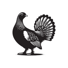 Willow Ptarmigan Silhouette - Willow Ptarmigan Illustration - Ptarmigan Vector.