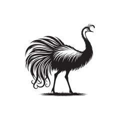Rhea Vector Silhouette - Rhea Illustration - Bird Vector