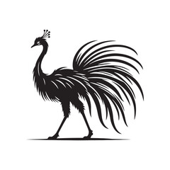 Rhea Vector Silhouette - Rhea Illustration - Bird Vector