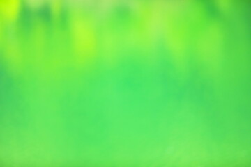 池の水面に映る森林の緑