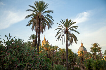 Public garden Villa Bonanno in Palermo, Sicily, Italy. The dome of Palermo Cathedral rises elegantly above a dense grove of palm trees under a soft sky