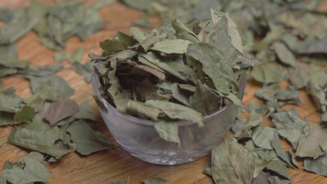 Curry Leaves (Kadi Patta)