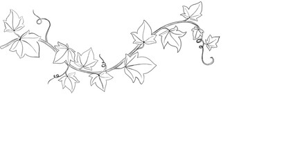 Leaf patern