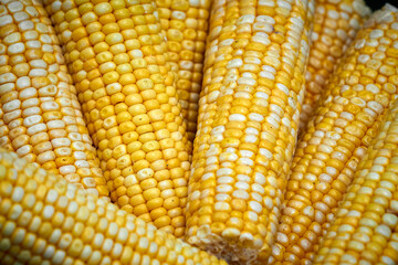 Peeled young corn cobs as background or texture