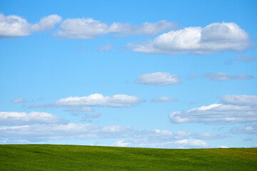 Horizon. Green field, blue sky and white clouds.